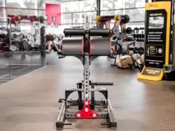 Sorinex Glute Ham Developer -Professional Fitness Equipment Store 66e8ba8216a1e152d72653d99a4f03ab 5d0a756aeec35 600x450 1