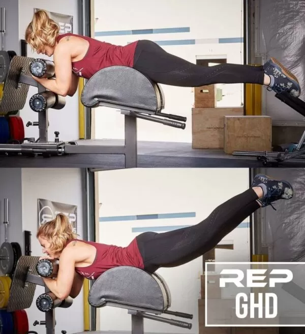 REP GHD – Glute Ham Developer 6 REP GHD – Glute Ham Developer - Image 6