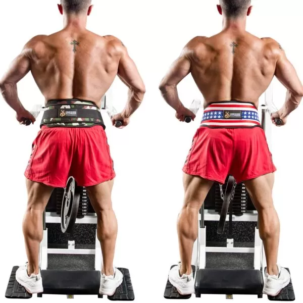 DMoose Premium Dip Belt 2 DMoose Premium Dip Belt - Image 2