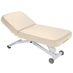 Earthlite Ellora Electric Lift Massage Table -Professional Fitness Equipment Store earthlite ellora electric lift massage table 9