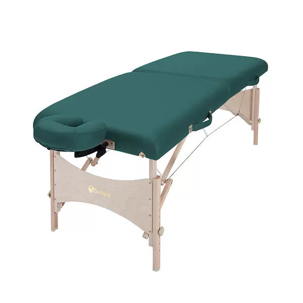 Earthlite Harmony DX Portable Massage Table Package 2 Earthlite Harmony DX Portable Massage Table Package - Image 2