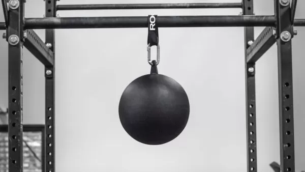 Rogue 12-Inch Pull-up Globe 1 Rogue 12-Inch Pull-up Globe